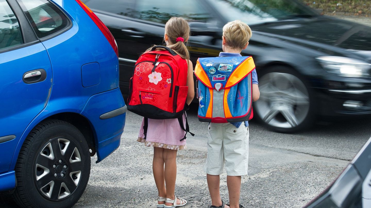 Die 7-jährige Schülerin wurde vom Auto erfasst. (Symbolbild) Foto: Patrick Pleul/dpa-Zentralbild/dpa