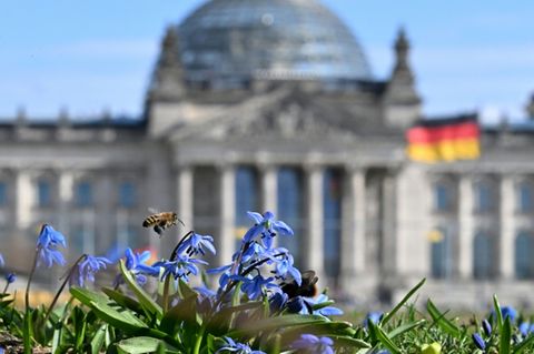 Reichstagsgebäude in Berlin