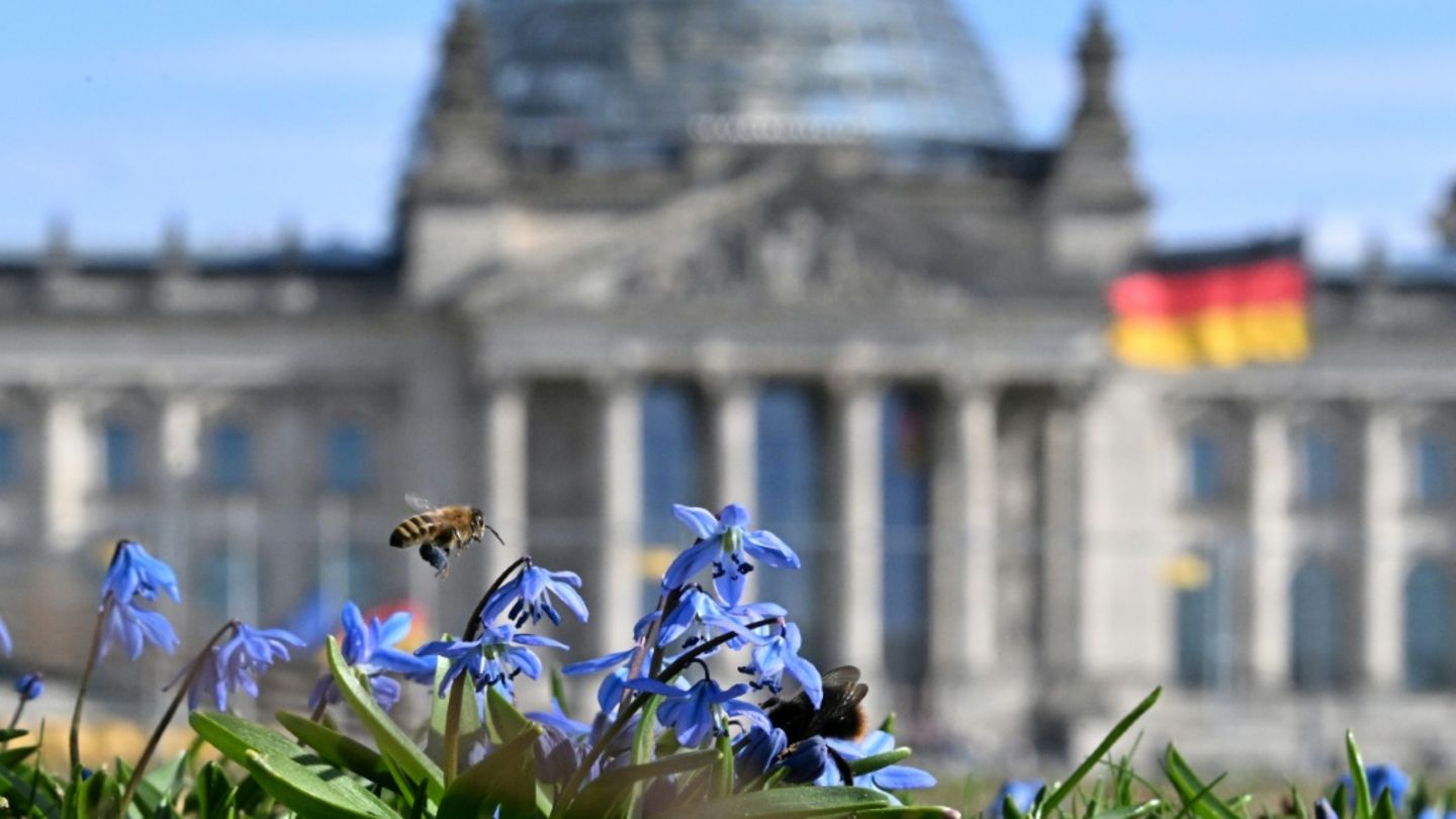 Reichstagsgebäude in Berlin