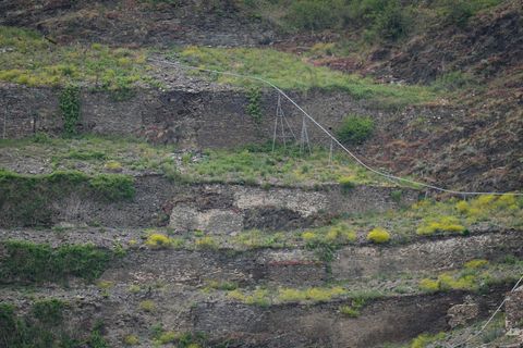 Steillagen-Weinbau wie hier an der Mosel ist besonders arbeitsaufwendig. Manche Parzellen werden daher von ihren Winzern aufgege