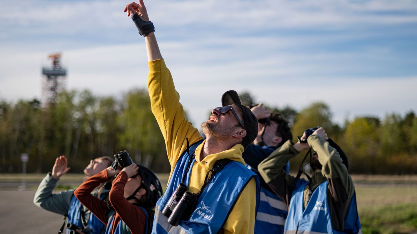 Ohne Fernglas geht beim Birden nichts. Foto: Fabian Sommer/dpa