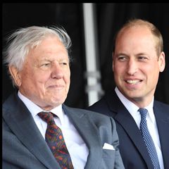Prinz William (M.) und Prinzessin Kate applaudieren Sir David Attenborough