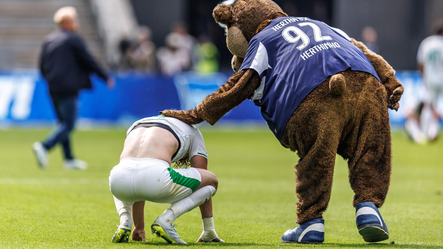 Das war kein guter Tag für die SpVgg Greuther Fürth: Der Verein verlor in Berlin mit 2:1 gegen die Hertha. Abwehrspieler Reno Münz nahm's sichtlich schwer – und wurde vom gegnerischen Maskottchen Herthinho getröstet. 