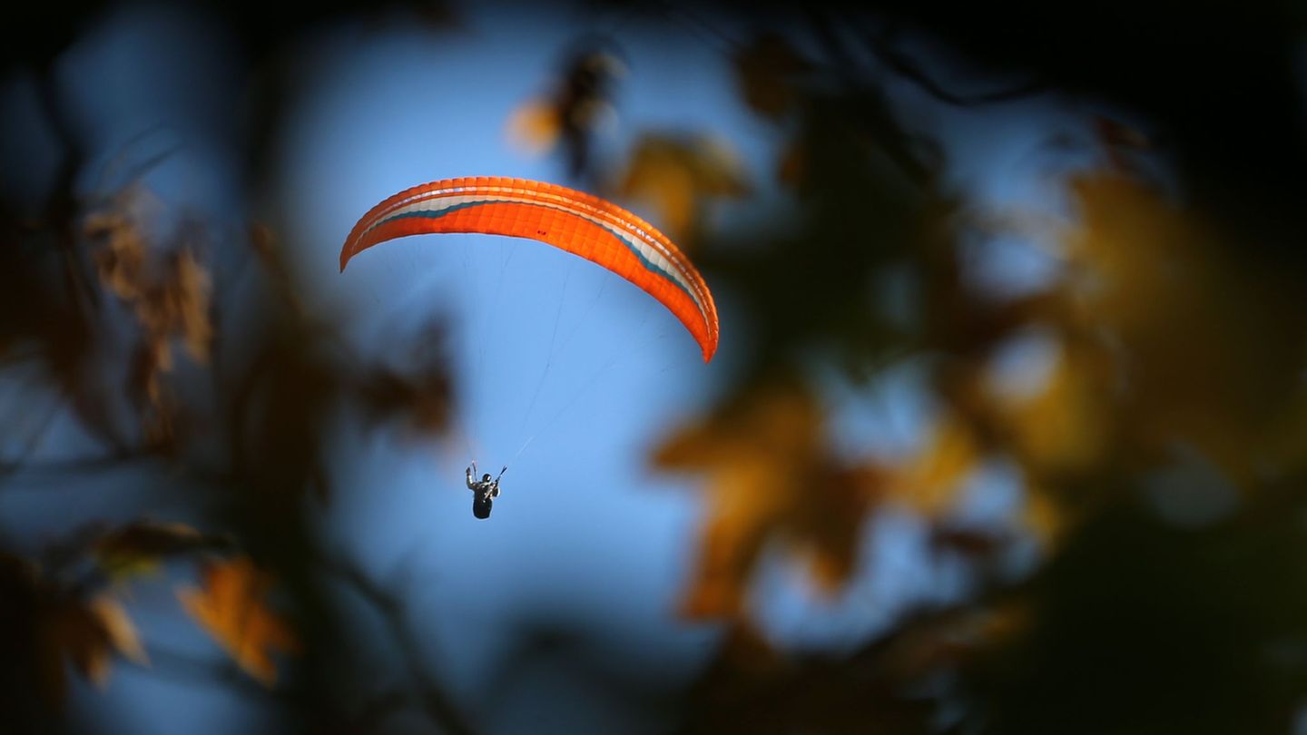 Der Gleitschirmflieger blieb in einem Baum hängen. (Symbolbild) Foto: Karl-Josef Hildenbrand/dpa