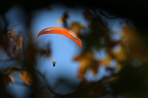 Der Gleitschirmflieger blieb in einem Baum hängen. (Symbolbild) Foto: Karl-Josef Hildenbrand/dpa