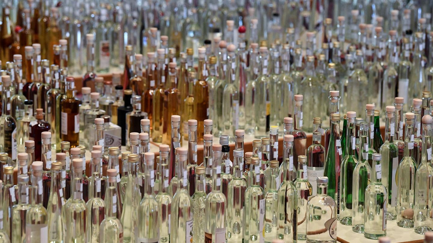 Alkoholkonsum: Hunderte Schnapsflaschen auf einem Tisch
