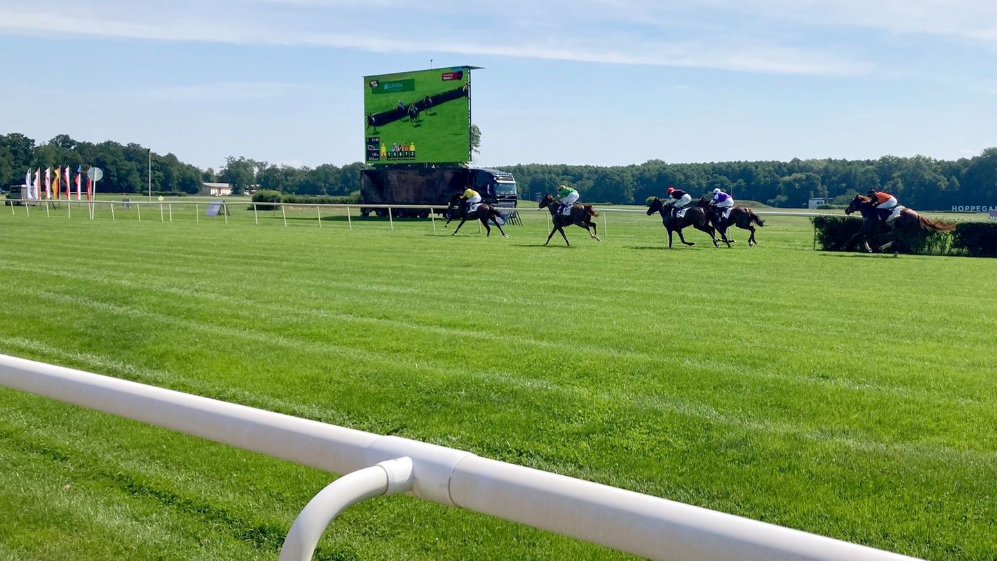 Der Fuchswallach Lordano hat das Oleander-Rennen in Hoppegarten gewonnen. (Archivbild) Foto: Arne Richter/dpa