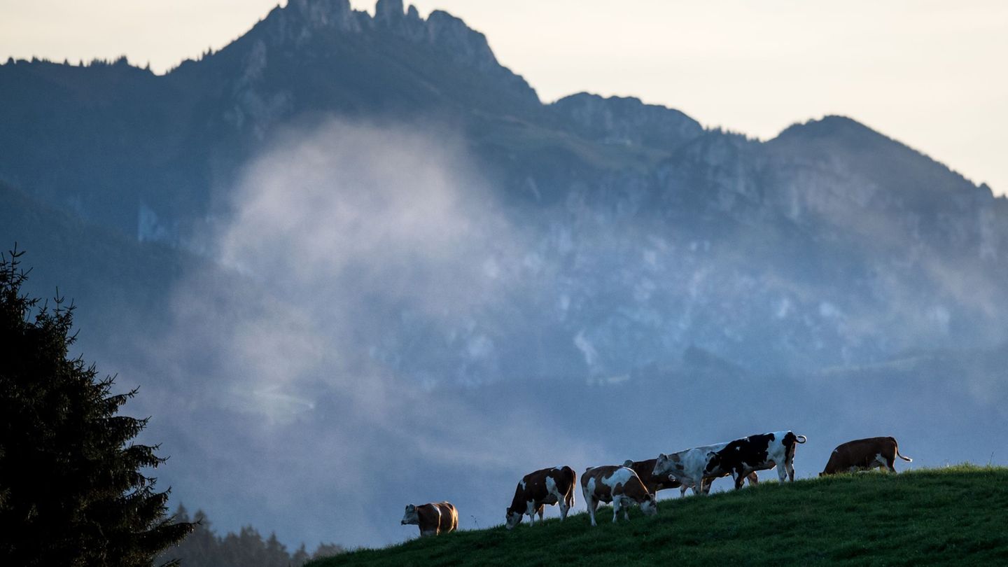 Die Kinder verliefen sich an der Hochplatte. (Symbolbild) Foto: picture alliance / dpa