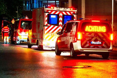 "Hondius"-Passagiere in Deutschland