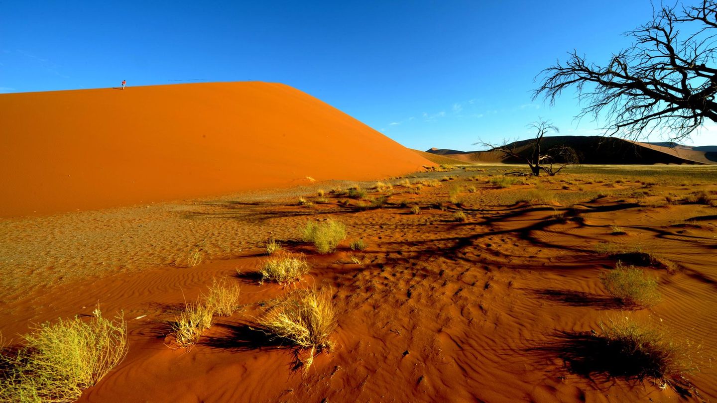 Namibia: Deutsche sterben bei Flugzeugabsturz