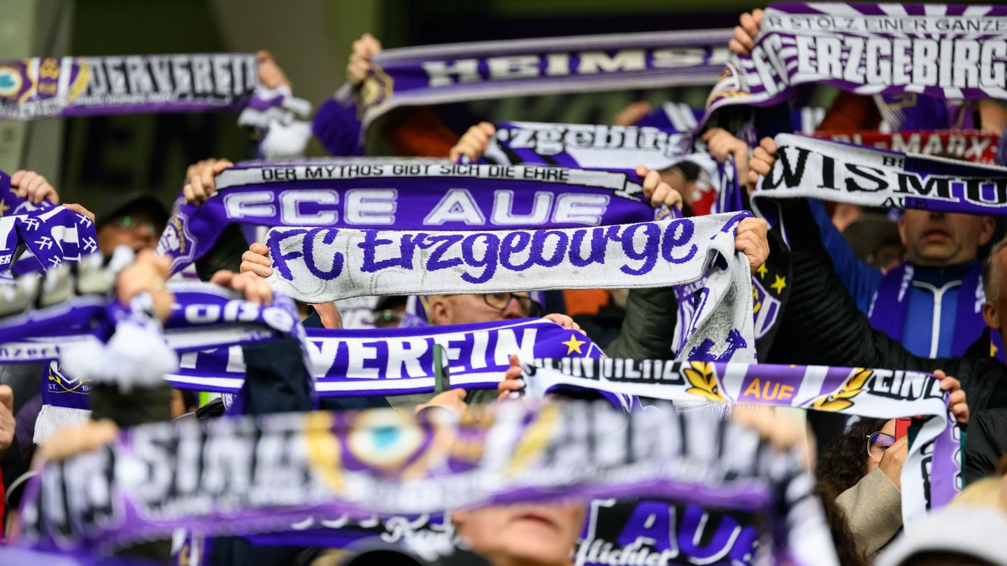 Nach dem Abstieg in die Regionalliga Nordost setzt Aue auf sein bisheriges Trainerteam. (Symbolbild) Foto: Robert Michael/dpa