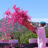 Rizhao, China. Eine Arbeiterin in einer Teefabrik trocknet Rosenblütenblätter. Das Dorf Liujiaping hat sich der Entwicklung der Industrie für essbare Rosen verschrieben, um das Einkommen der Dorfbewohner zu steigern.