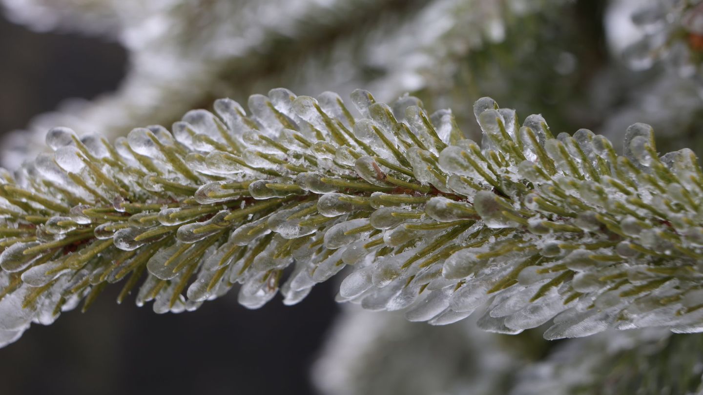 Der Schnee ist zumindest vorübergehend wieder zurück, auch hier im Harz. (Symbolbild) Foto: Matthias Bein/dpa