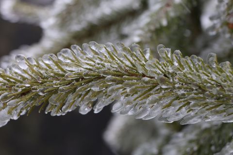 Der Schnee ist zumindest vorübergehend wieder zurück, auch hier im Harz. (Symbolbild) Foto: Matthias Bein/dpa