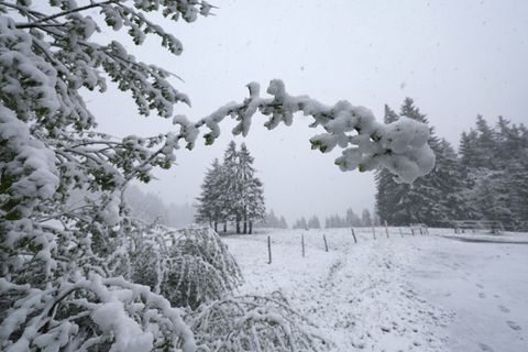In höheren Lagen könnten laut dem DWD einige Zentimeter Neuschnee fallen. Foto: Karl-Josef Hildenbrand/dpa