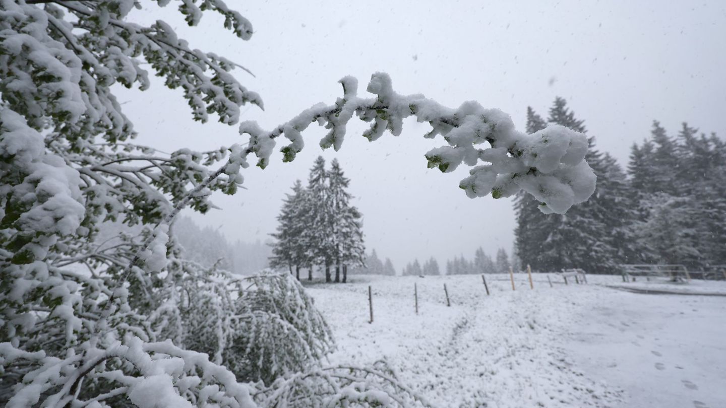 In höheren Lagen könnten laut dem DWD einige Zentimeter Neuschnee fallen. Foto: Karl-Josef Hildenbrand/dpa