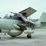 Eine „Fairy Gannet“ mit gefalteten Flügeln auf einem Flughafen