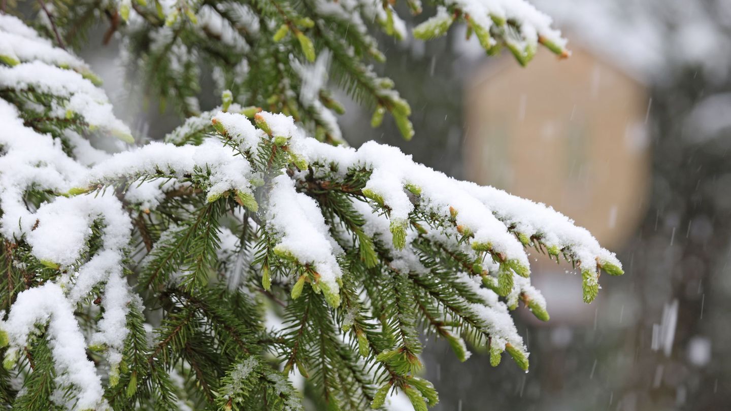 Zwei bis drei Zentimeter Schnee lagen am Vormittag auf dem Brocken. (Symbolbild) Foto: Matthias Bein/dpa