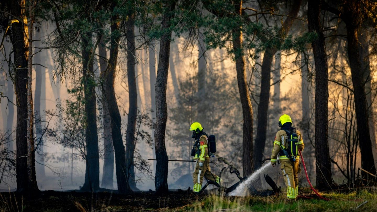 Waldbrand Ende April in der niederländischen Region Limburg