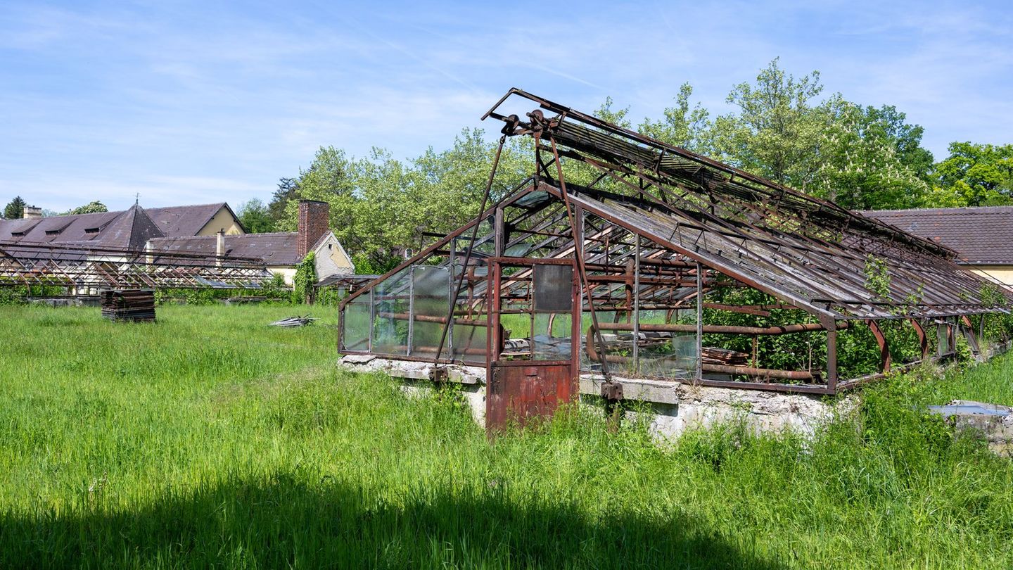Der berüchtigte "Kräutergarten" auf dem Gelände des ehemaligen Konzentrationslagers Dachau soll zu einer Gedenkstätte werden. (A