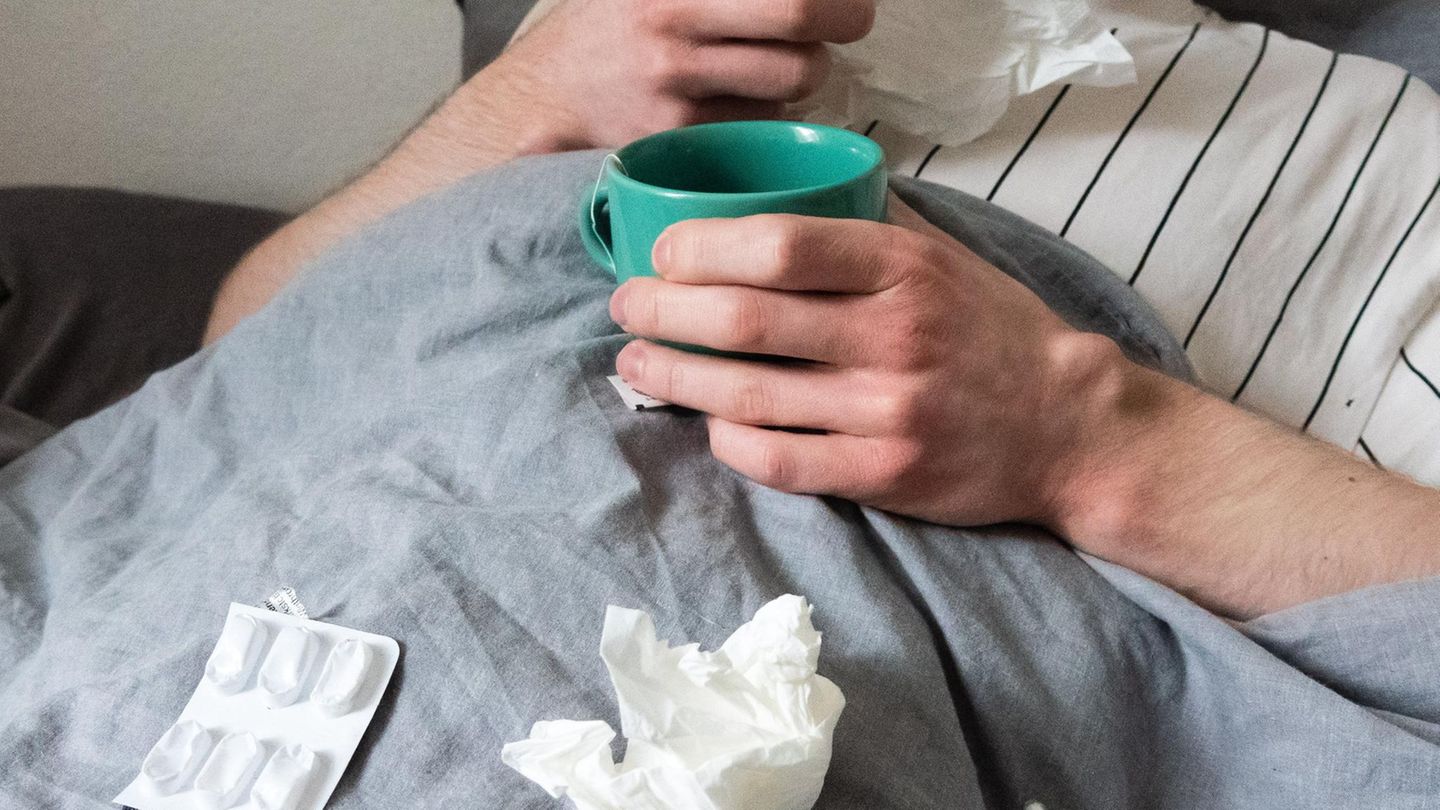 Virus Kreuzfahrt Grippe