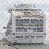 Virus Kreuzfahrt Covid