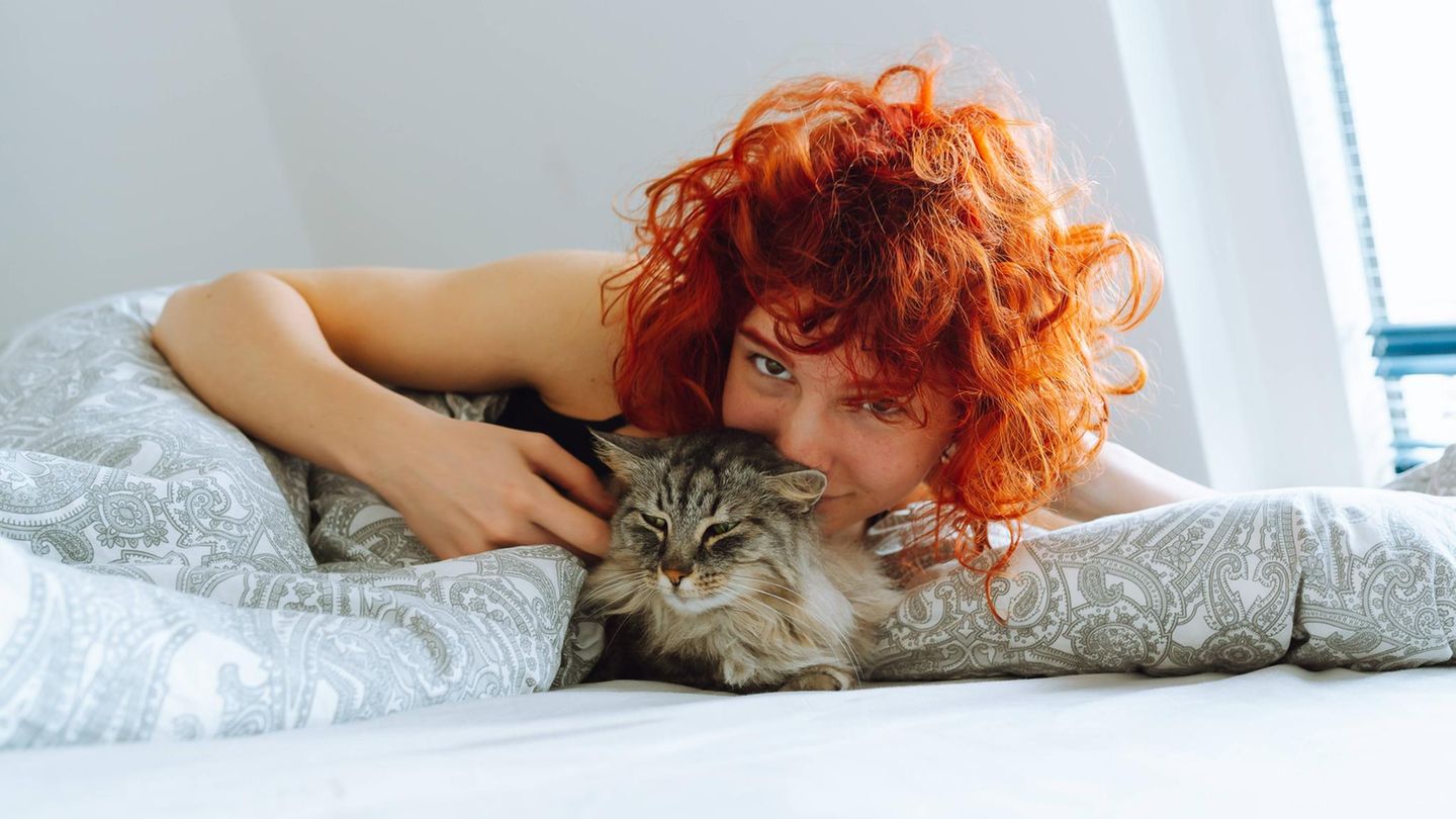 Darf die Katze mit ins Bett? Dazu gehen die Meinungen auseinander