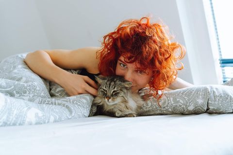 Darf die Katze mit ins Bett? Dazu gehen die Meinungen auseinander