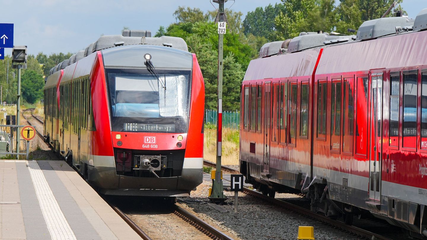 In einer Regionalbahn kommt es zu einem assistischen Zwischenfall, der nach einem Video in den sozialen Medien eine Debatte um Z