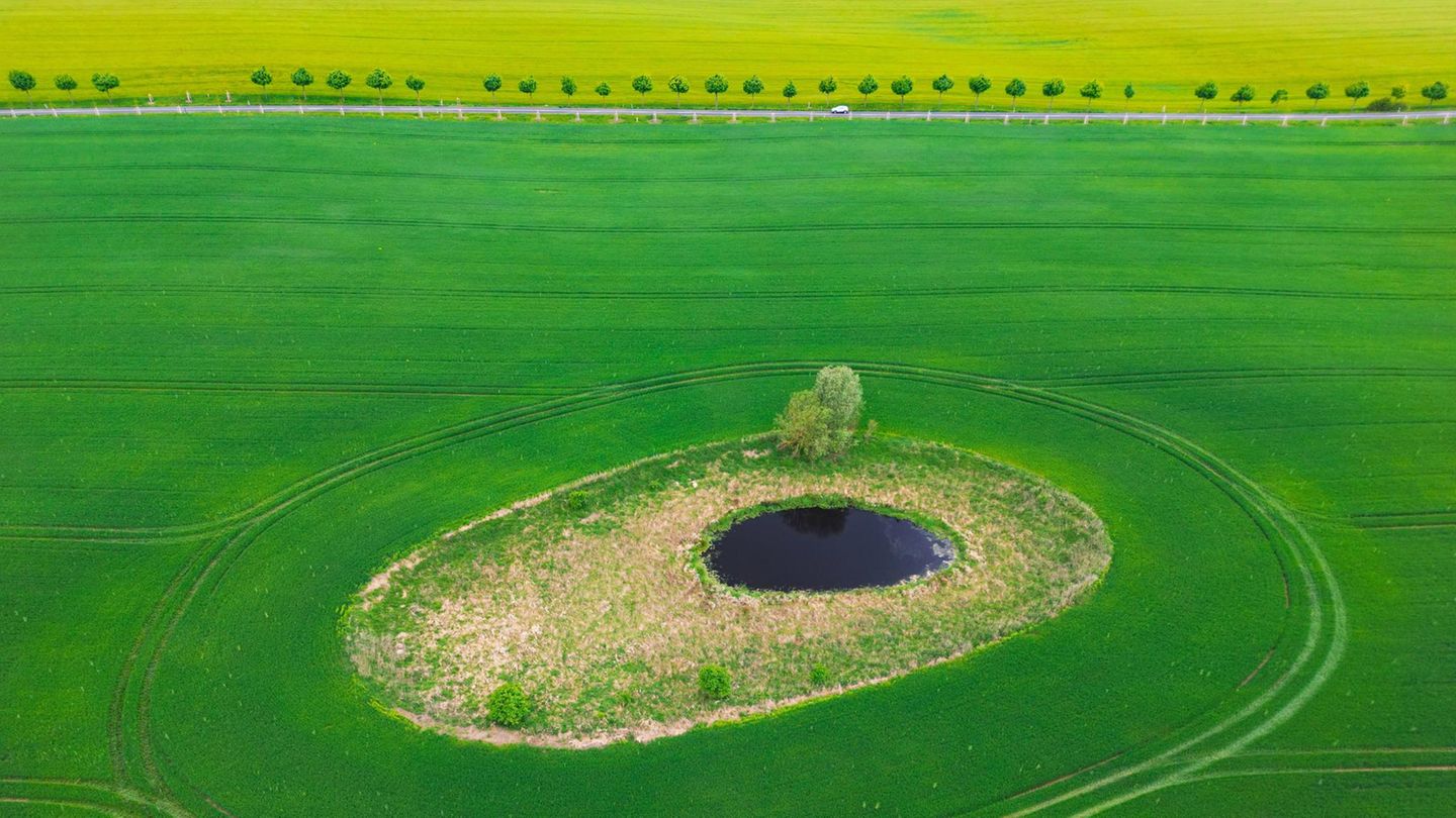 Sieversdorf, Deutschland. Man könnte meinen, es sei ein Auge, das dort aus dem Acker in den Himmel blickt. Doch es handelt sich um ein sogenanntes „Soll“, eine kleine Vertiefung mit einem Wasserloch. Solche „Sölle“ sind häufig als Folge von Eiszeiten im nordostdeutschen Raum entstanden. Heute bilden sie ökologisch wertvolle Inseln in landwirtschaftlich stark genutzten Flächen.