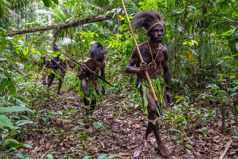 Die Hauptaufgabe der Iatmul-Krieger in Papua-Neuguinea bestand vor allem darin, die eigene Gruppe vor Übergriffen zu schützen.