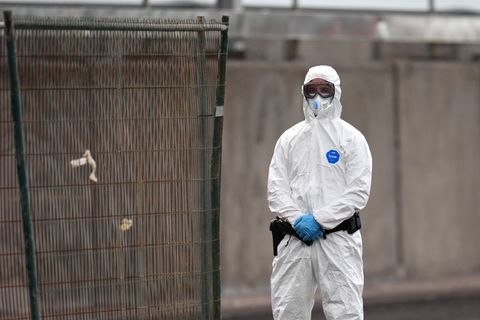 Beim Kontakt mit dem Hantavirus sollte ein Schutzanzug Pflicht sein. Foto: AP/dpa
