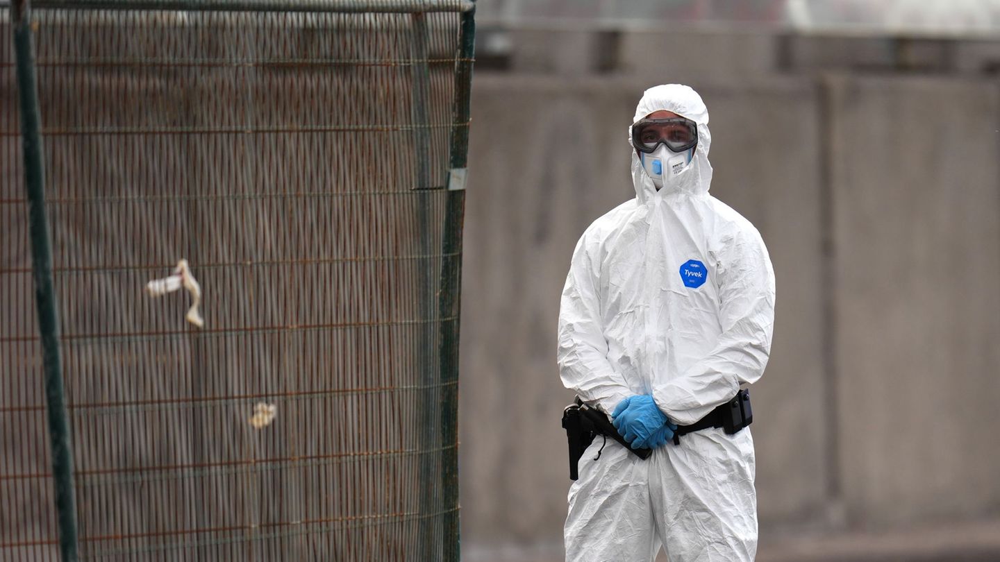 Beim Kontakt mit dem Hantavirus sollte ein Schutzanzug Pflicht sein. Foto: AP/dpa