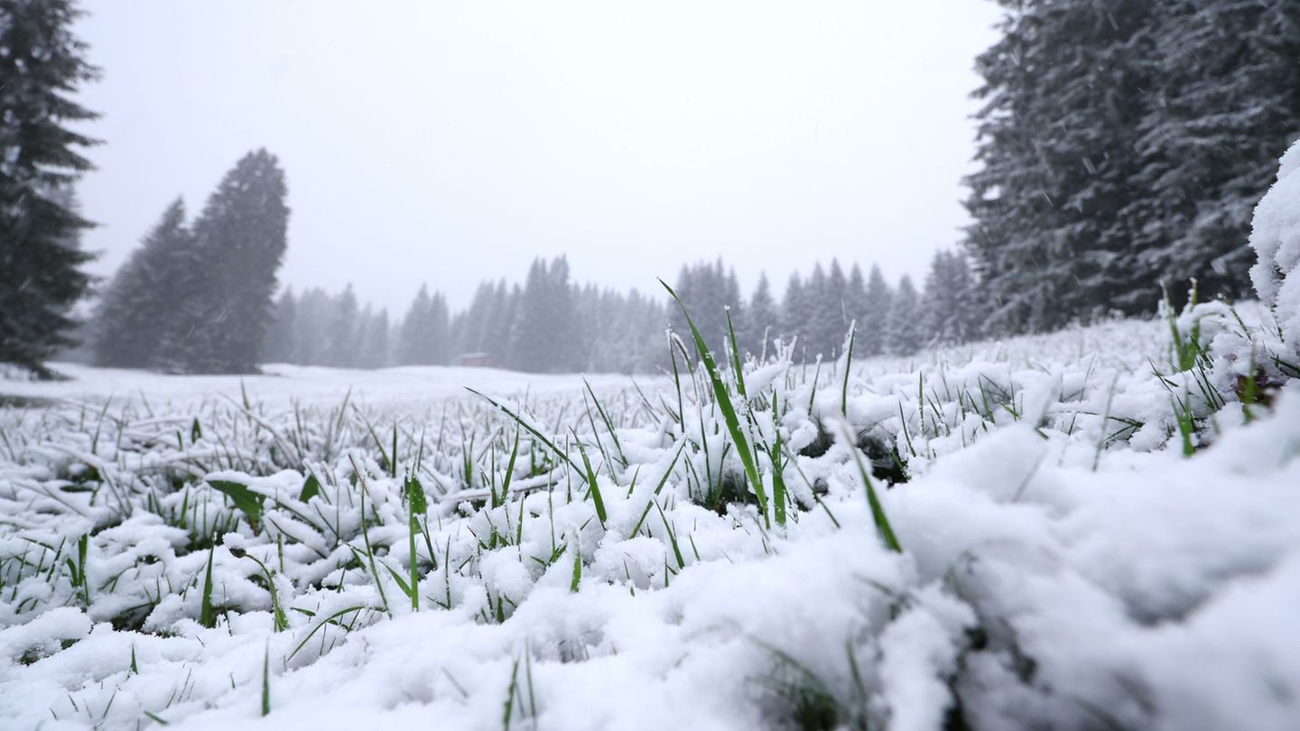 In höheren Lagen ist noch einmal Neuschnee gefallen. Und es bleibt weiter kühl. Foto: Karl-Josef Hildenbrand/dpa