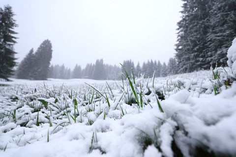 In höheren Lagen ist noch einmal Neuschnee gefallen. Und es bleibt weiter kühl. Foto: Karl-Josef Hildenbrand/dpa