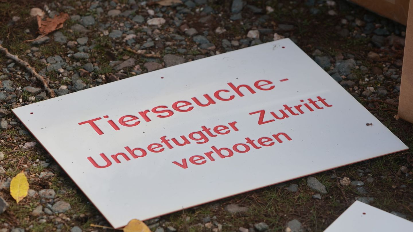 Im Kreis Mühldorf am Inn musste erneut ein Geflügelbetrieb gesperrt werden, weil dort die Newcastle-Krankheit ausgebrochen ist.