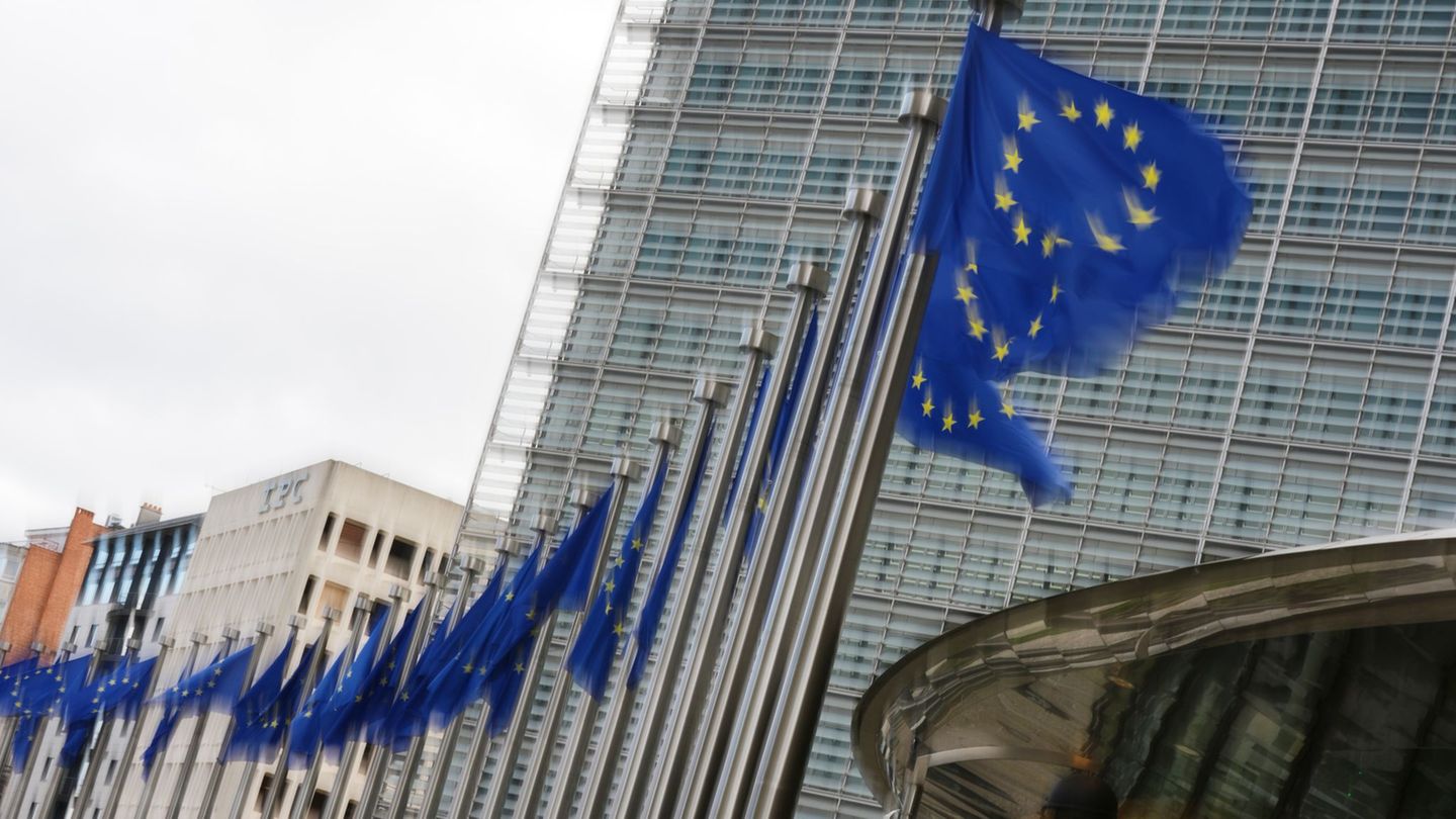 Einer Umfrage zufolge ist die EU-Skepsis zuletzt in Deutschland gestiegen. (Archivbild) Foto: Virginia Mayo/AP/dpa