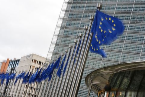 Einer Umfrage zufolge ist die EU-Skepsis zuletzt in Deutschland gestiegen. (Archivbild) Foto: Virginia Mayo/AP/dpa