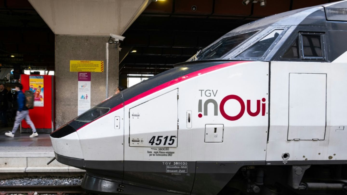 Französischer Schnellzug TGV im März in Marseille