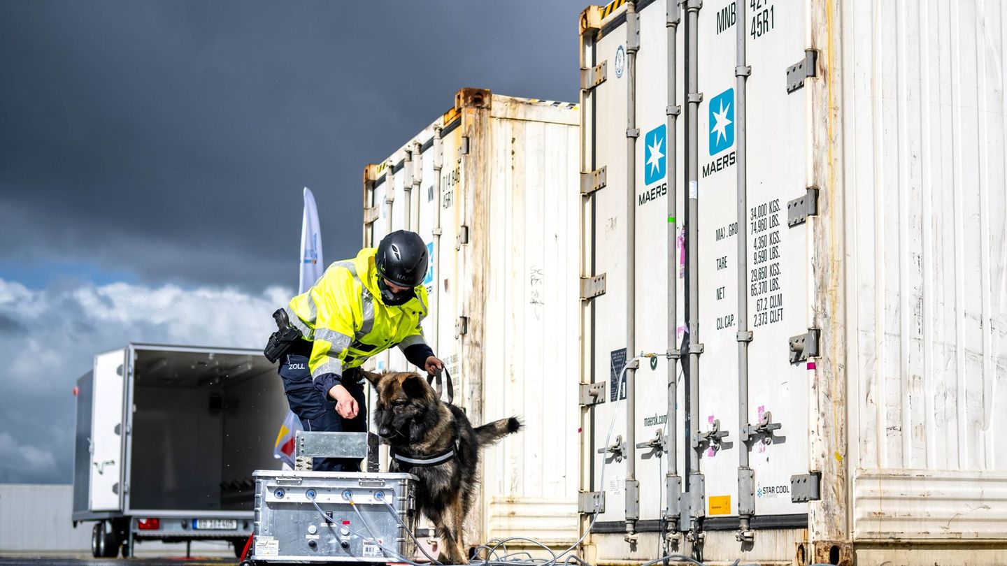 In Bremen werden regelmäßig illegale Drogen sichergestellt. (Archivbild) Foto: Sina Schuldt/dpa
