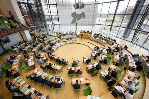 Der Grünen-Antrag zur Unterstützung kleiner Schlachtbetriebe bekam nur mit Hilfe von AfD und BSW eine Mehrheit. Foto: Robert Mic