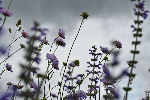 Das lange Wochenende wird ungemütllich: Im Südwesten soll es Wolken, Regen und vereinzelt auch Gewitter geben. (Symbolbild) Foto