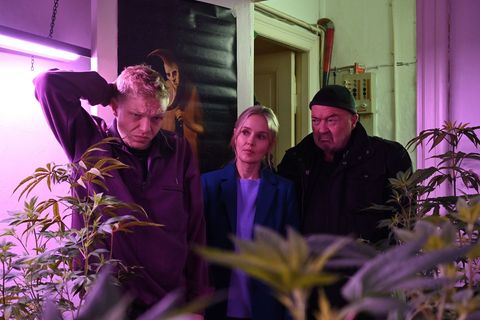 "Ein starkes Team" blickt in fremde Wohnungen: Linett (Stefanie Stappenbeck) und Otto (Florian Martens, rechts) ermitteln im neuen Mordfall unter anderem bei Falk Becker (Leonard Kunz), dem Stiefbruder des Opfers.