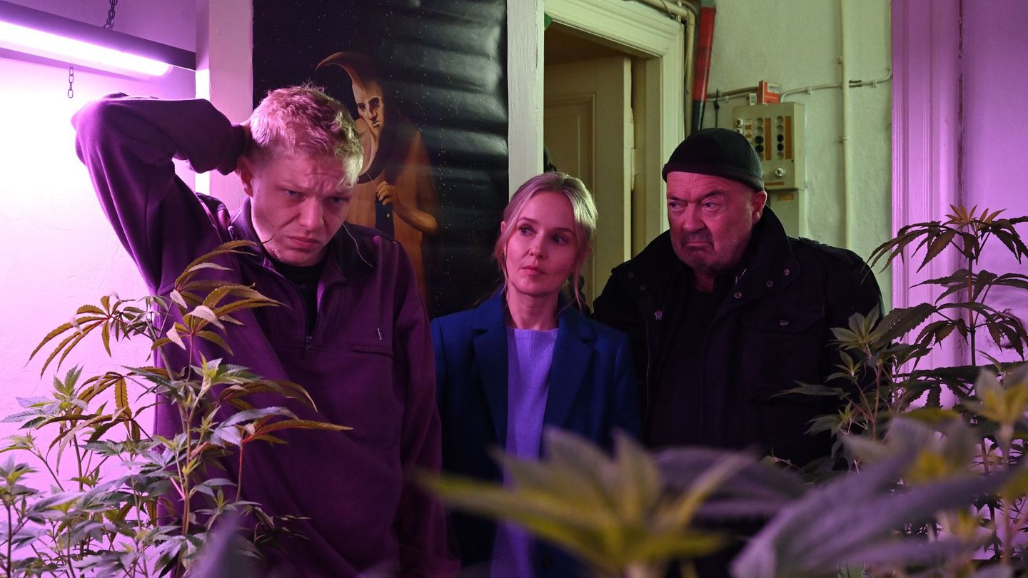 "Ein starkes Team" blickt in fremde Wohnungen: Linett (Stefanie Stappenbeck) und Otto (Florian Martens, rechts) ermitteln im neuen Mordfall unter anderem bei Falk Becker (Leonard Kunz), dem Stiefbruder des Opfers.