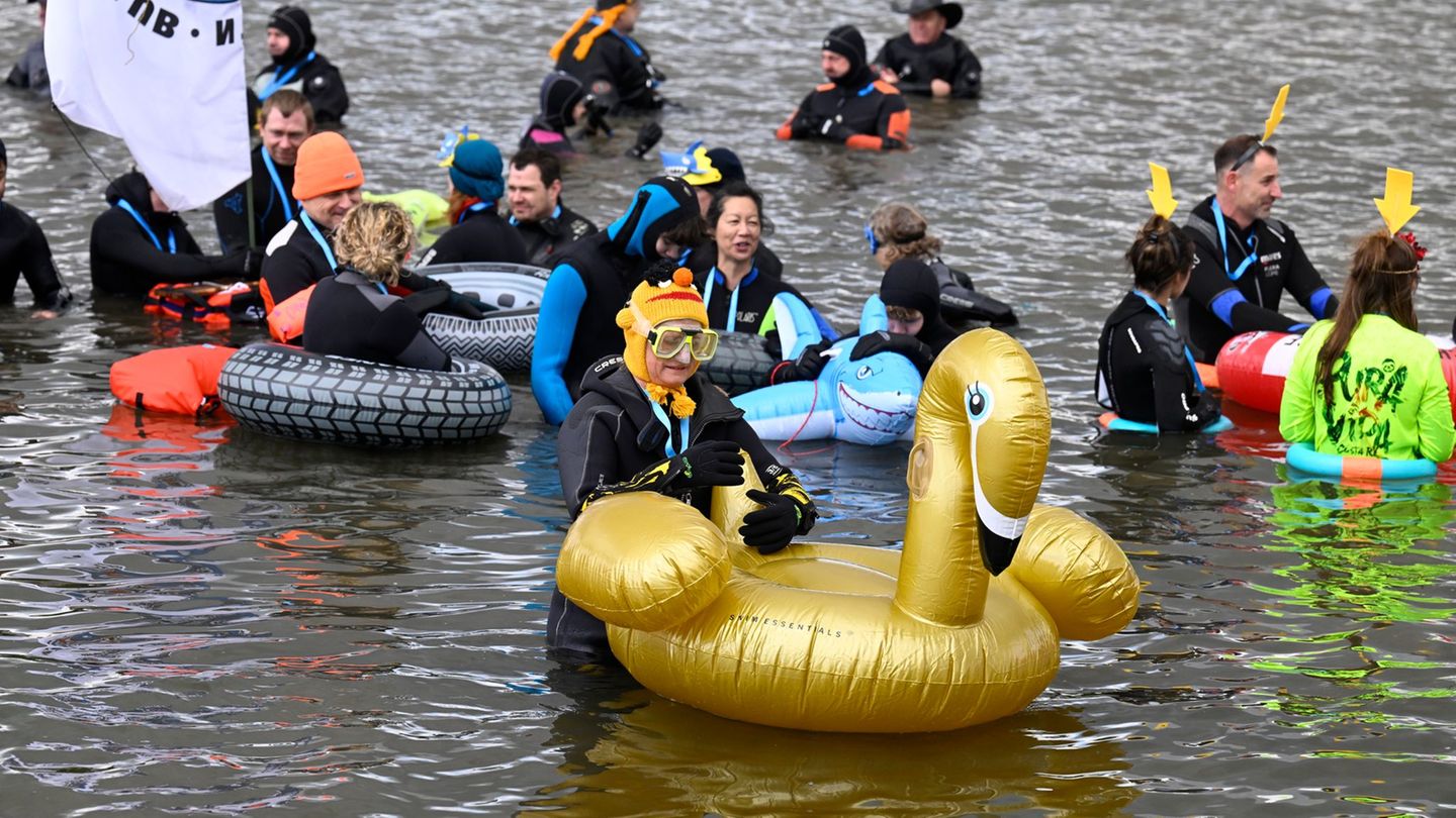 In Köln sind heute trotz kühler Temperaturen zahlreiche Menschen im Rhein schwimmen gegangen - sie nahmen an einer Aktion des De