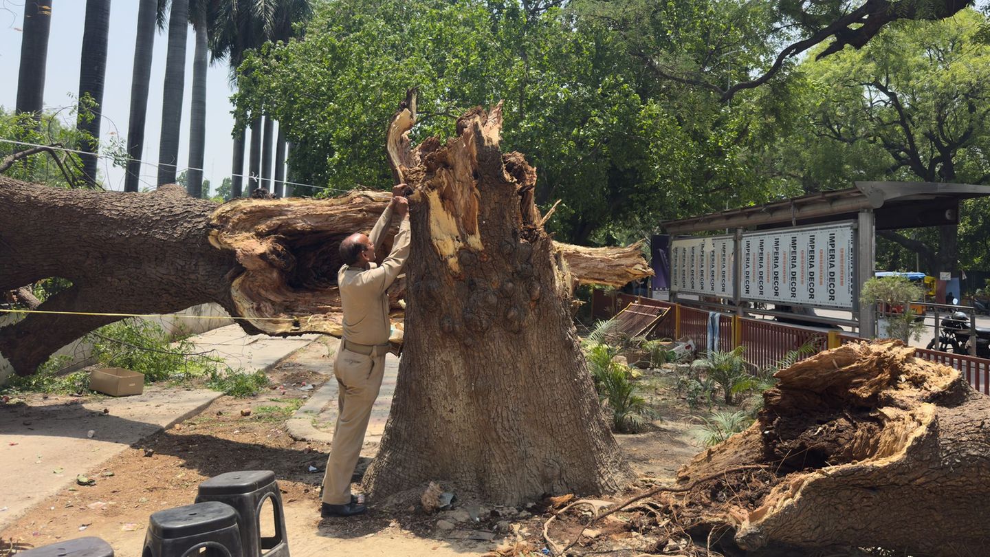 Ein Mitglied der Zivilschutzorganisation bindet ein Seil an einen umgestürzten Baum, um nach Stürmen und starken Regenfällen ein