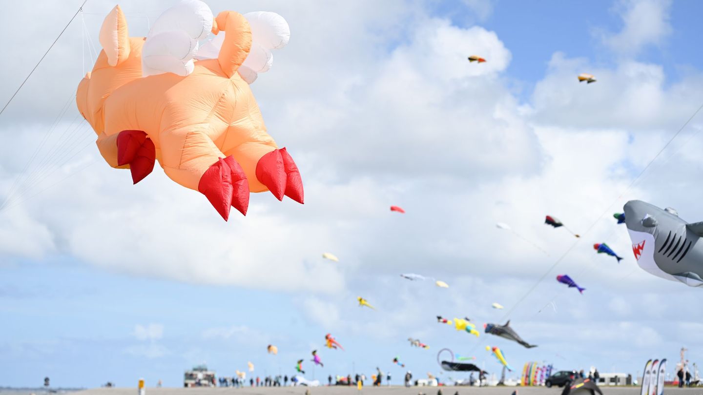 Riesige Tierfiguren als Drachen schweben beim Drachenfest am Himmel. Foto: Lars Penning/dpa