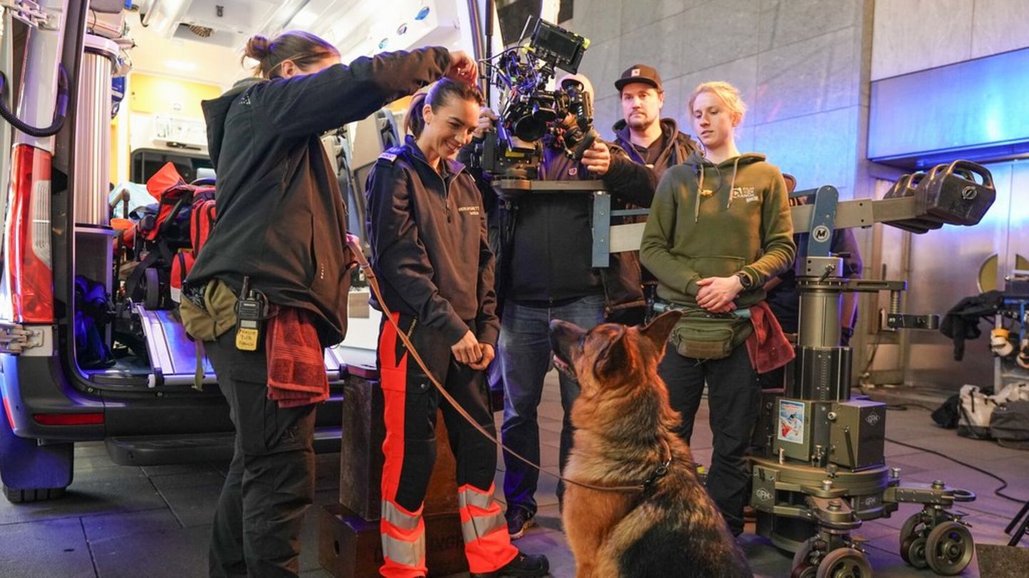 Schäferhund Rex ist die Hauptfigur von "Kommissar Rex".