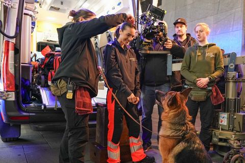 Schäferhund Rex ist die Hauptfigur von "Kommissar Rex".