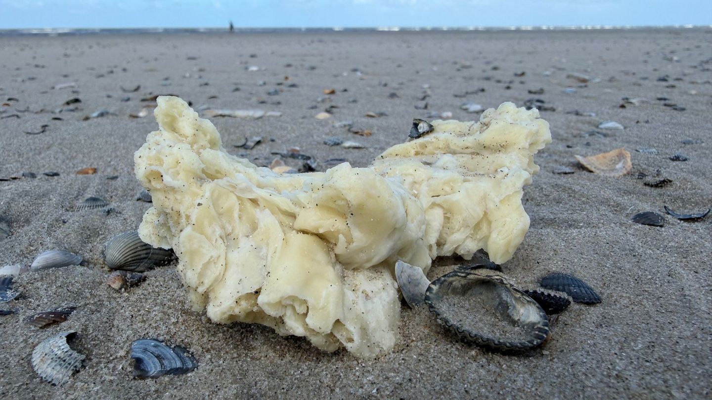 Die weißen Klumpen wurden unter anderem auf Borkum, Juist und Norderney entdeckt. Foto: Volker Bartels/dpa